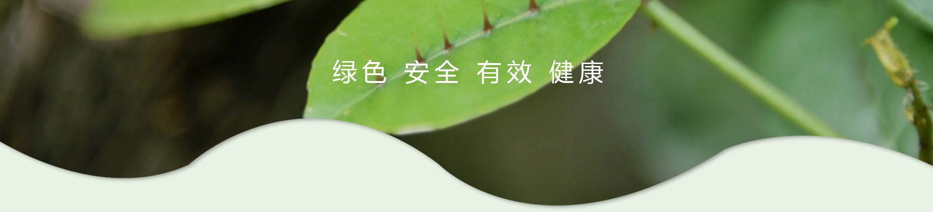 k8凯发(中国)天生赢家·一触即发