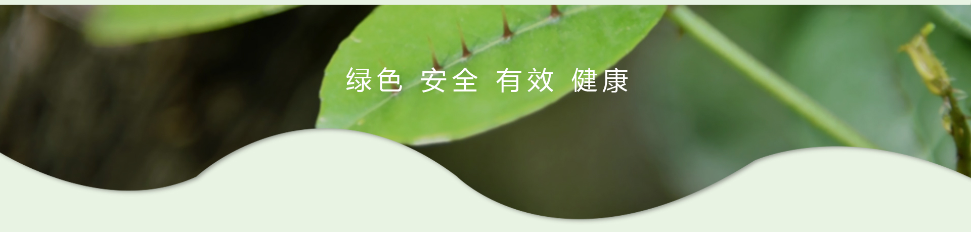 k8凯发(中国)天生赢家·一触即发