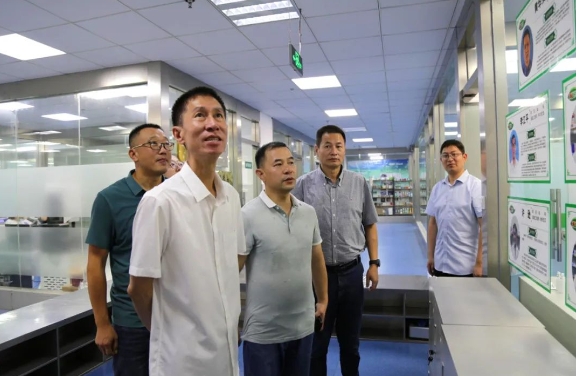 k8凯发(中国)天生赢家·一触即发