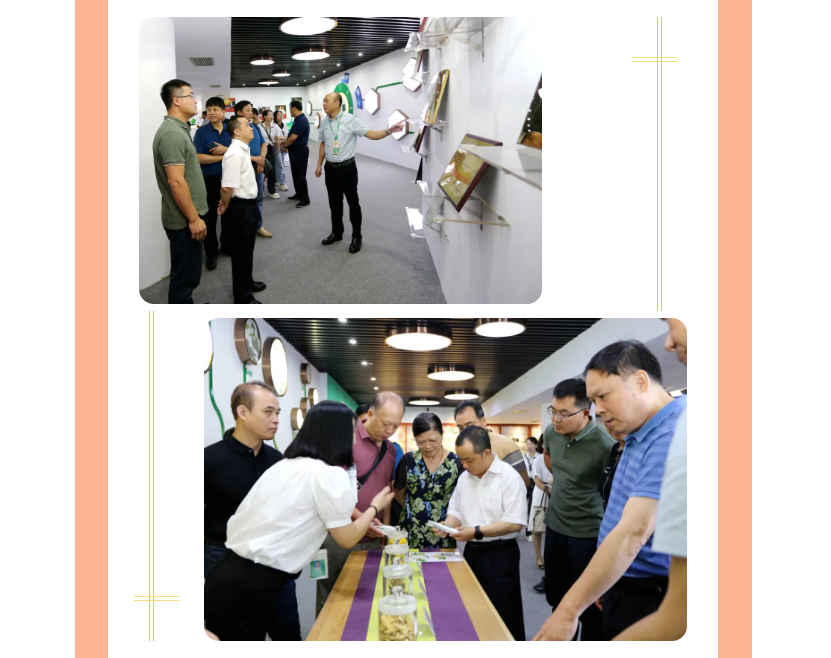 k8凯发(中国)天生赢家·一触即发