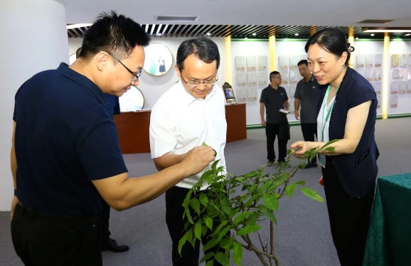 20240828153835_4424 k8凯发(中国)天生赢家·一触即发